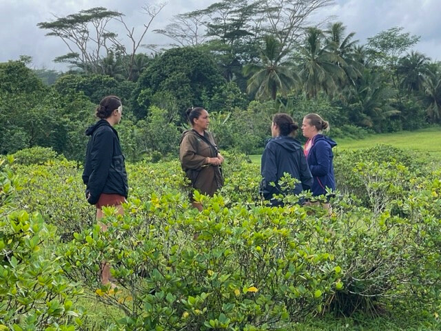 L’audit UEBT confirme la certification des champs de fleur de tiaré biologiques à Tahiti